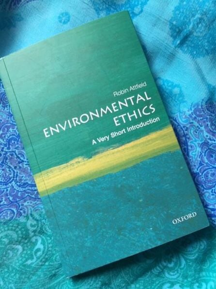 Philosophy and environmental ethics